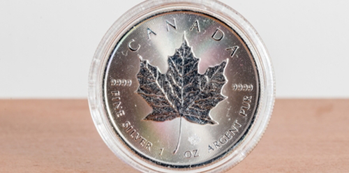 canadian maple leaf coin